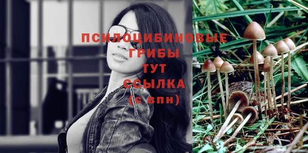 мет Балахна