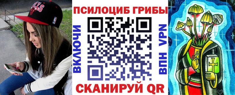как найти закладки  Нязепетровск  Псилоцибиновые грибы мицелий 